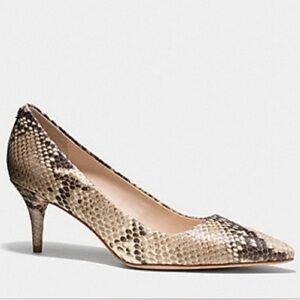 Coach Python Leather Pointed Toe Kitten Heels